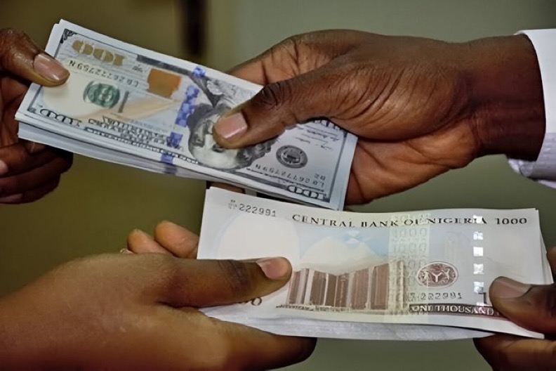 Naira Stability: Official and Parallel Market Exchange Rates (June 5, 2026)