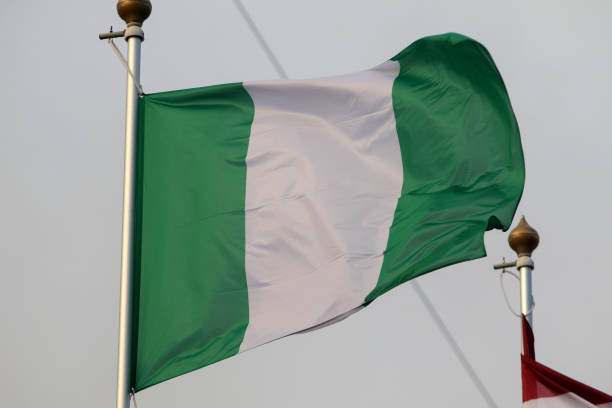 Nigeria Launches DSO FreeTV: 100 Channels, Digital Era 