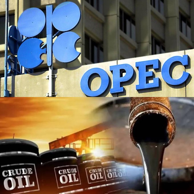 Organisation of the Petroleum Exporting Countries (OPEC) 